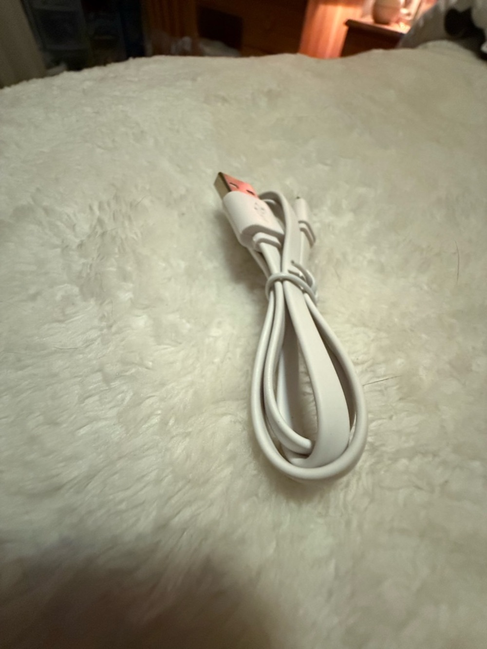 Apple White USB-A to Lightning Cable
